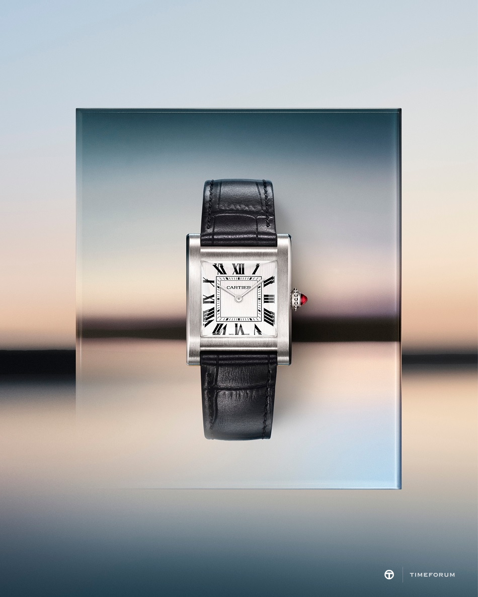 CARTIER PRIVÉ_005_24x30.jpg