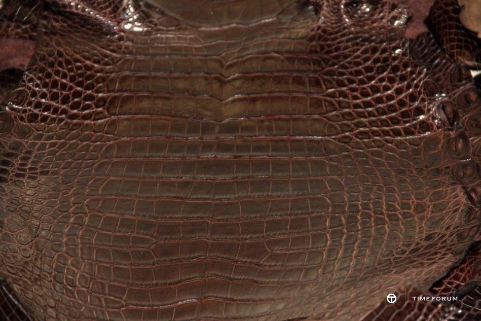 alligator-leather-skin-1.jpg