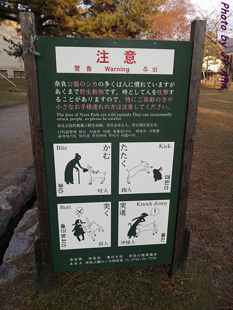 20121225_155106.jpg