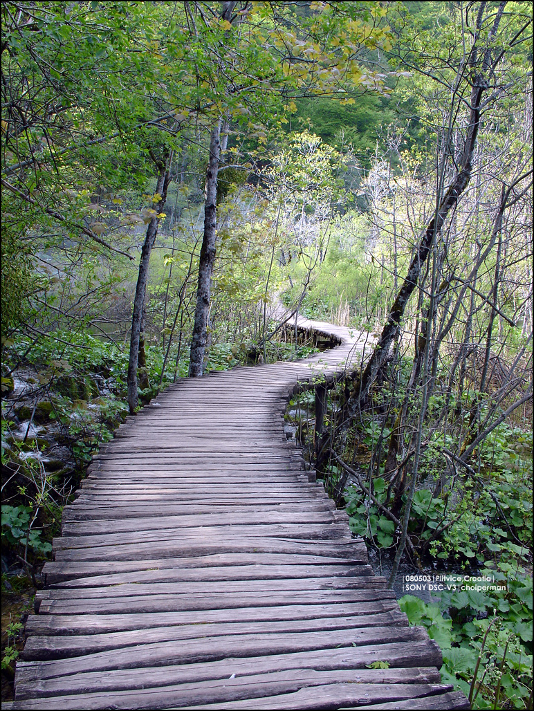 plitvice_080503_02.jpg