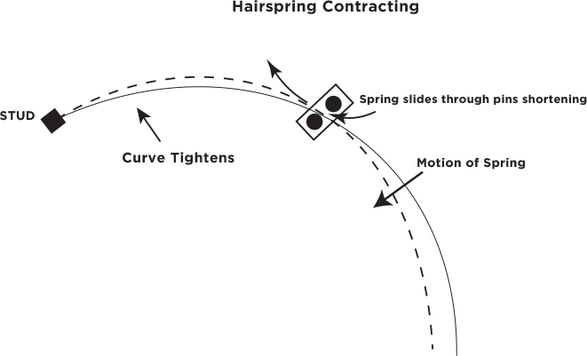 Hairspring-Contracting.jpg