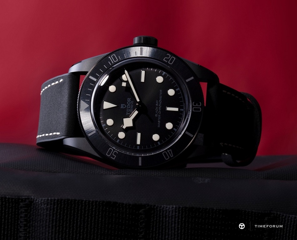 TUDOR-2020-S28-3179.jpg