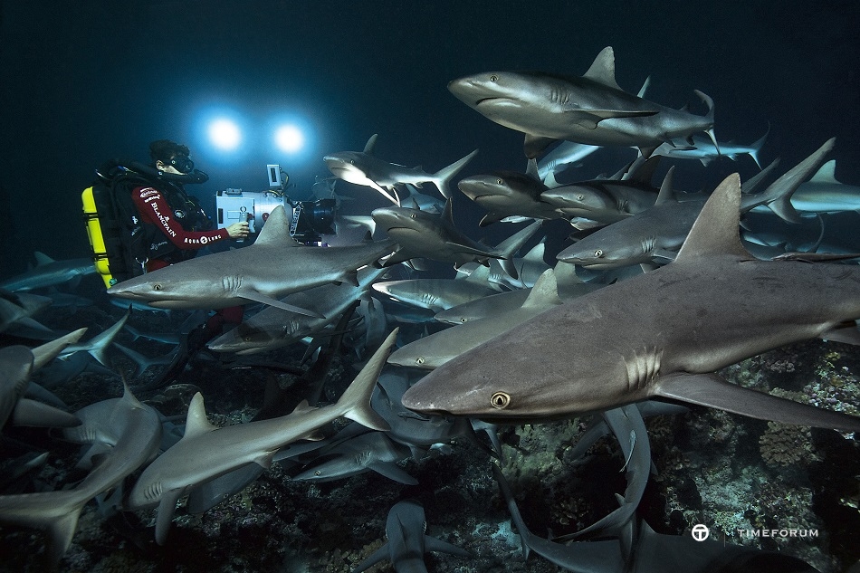 Gombessa IV, 700 Sharks into the Dark, French Polynesia 2017__Laurent Ballesta.jpg