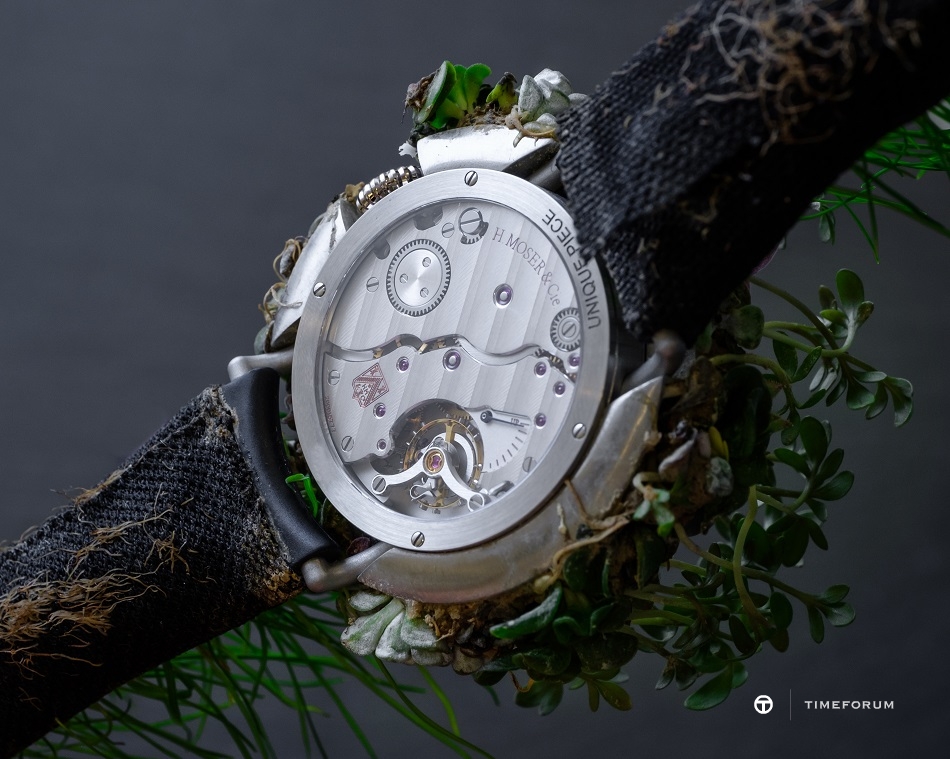 Moser Nature Watch_8327-1200_Back.jpg