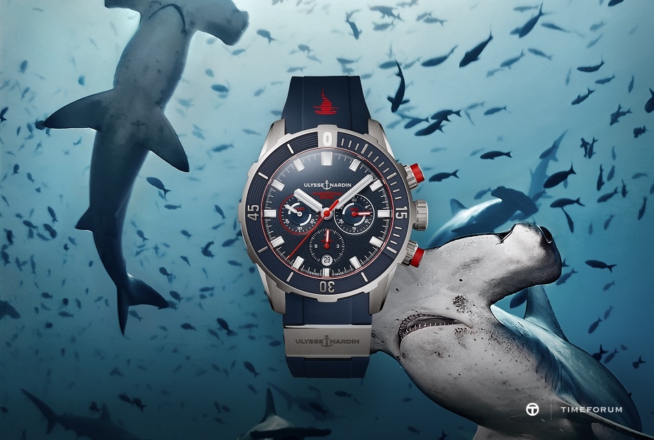 DIVER CHRONOGRAPH HAMMERHEAD SHARK.jpg