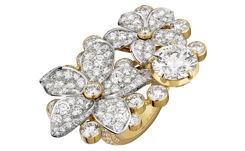 Grasse Jasmine-Ring_1080_RGB.jpg