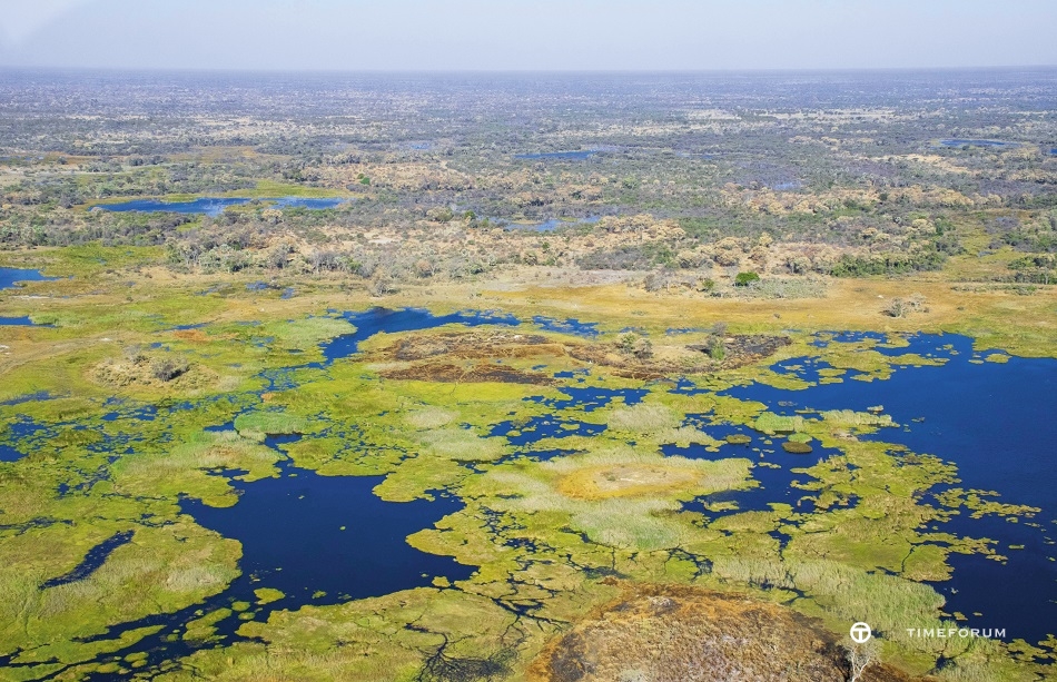 Okavango Delta_HighRes_13970.jpg