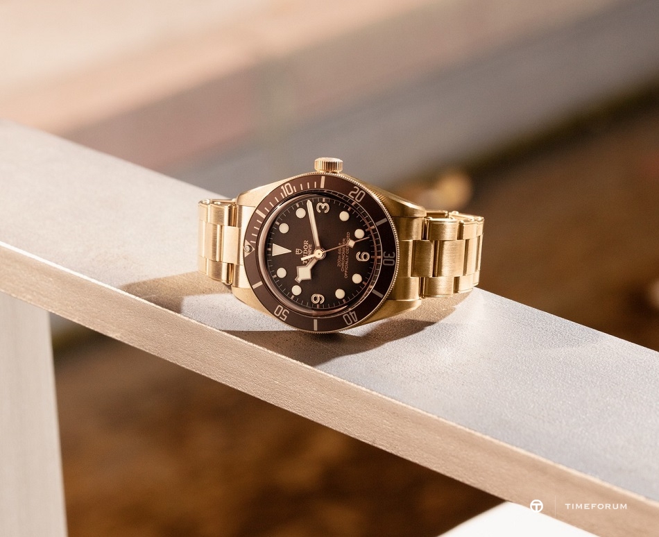 TUDOR-2020-S28-LS-960.jpg