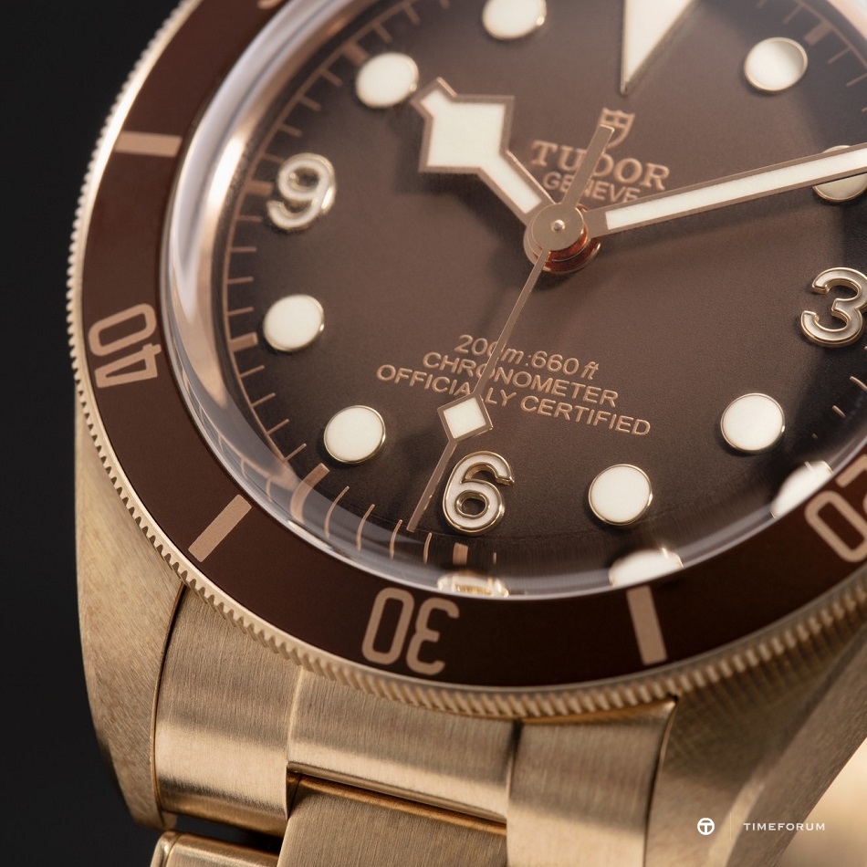 TUDOR-2020-S28-12761.jpg