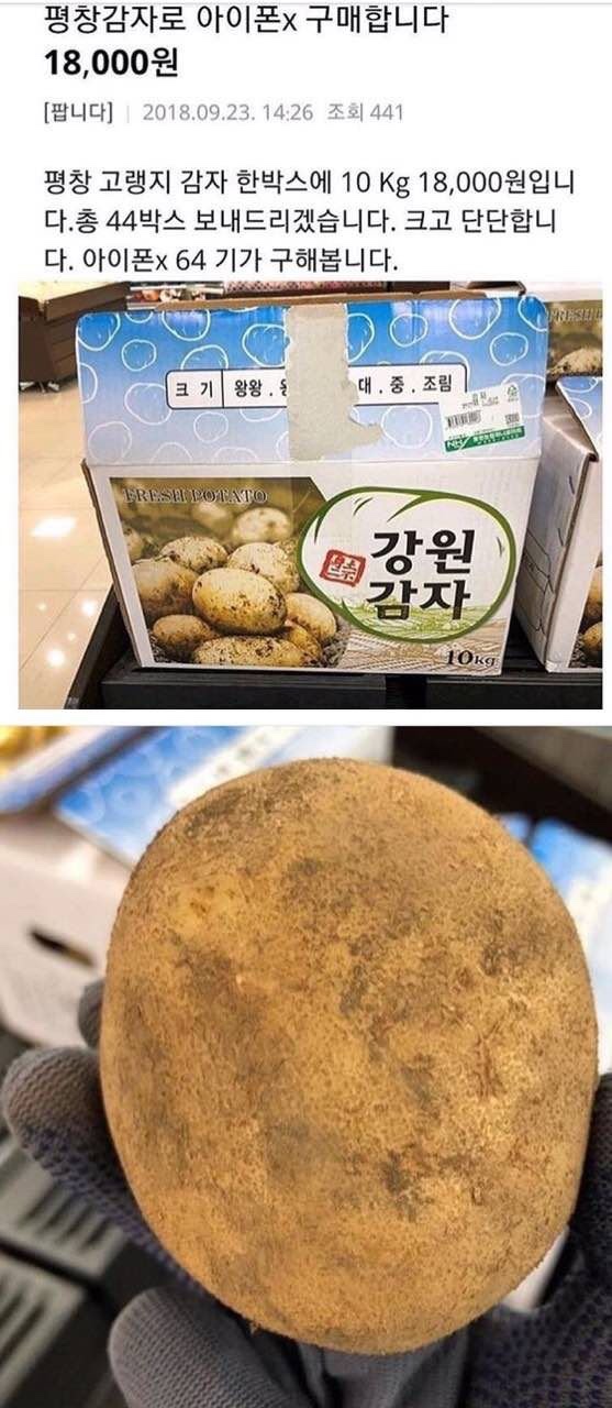 아이폰X감자.jpg