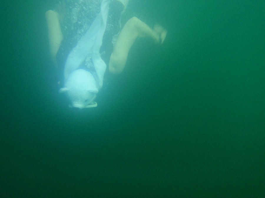 P1253061.JPG : ★ 팔라우 다이빙 여행기 #4 ★ - 첫째 날, 해파리 호수, 밀키웨이 -