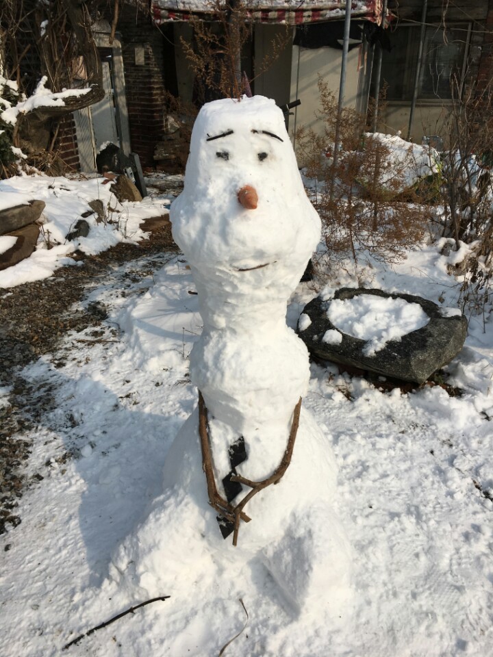 1487732220320.jpeg : 친구가 실제로 만든 겨울왕국 눈사람