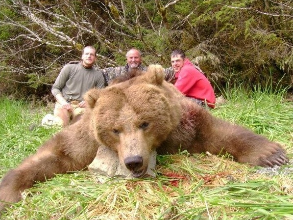 8_kodiak_bear.jpg