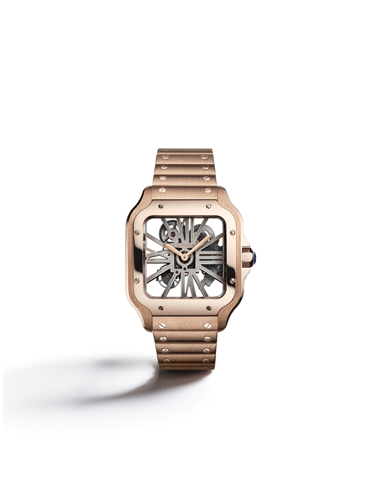 05B_SANTOS_CARTIER_SKELETON_WHSA0008.png