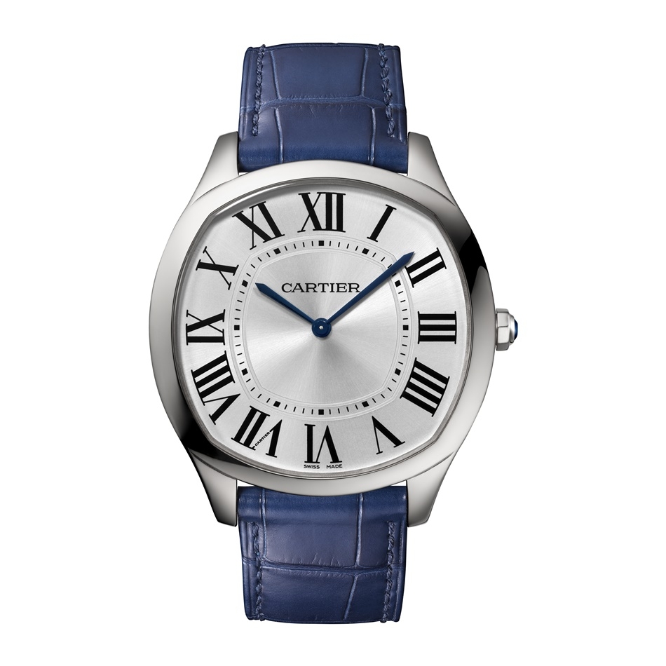 02_DRIVE_DE_CARTIER_X_FLAT_WSNM0011.jpg