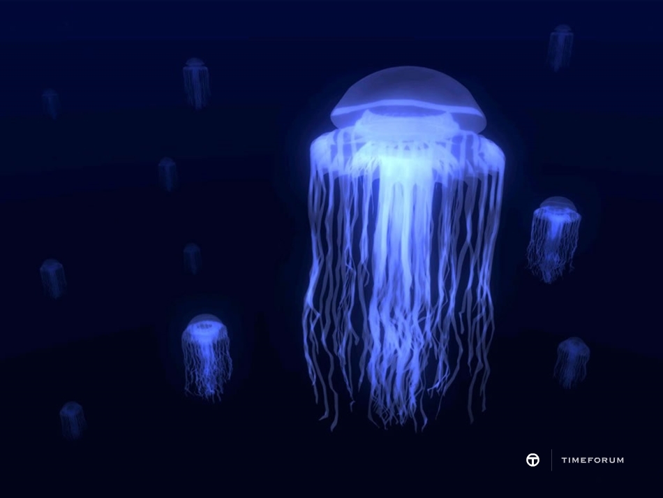 jellyfish-015.jpg