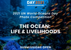 UN 세계 해양의 날 2021의 파트너가 된 블랑팡