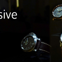 Panerai 2014 Report